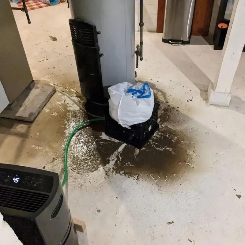 Sewage Backup Cleanup Service in Walnut Grove, MS